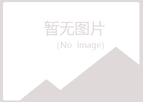 休宁县山柳能源有限公司